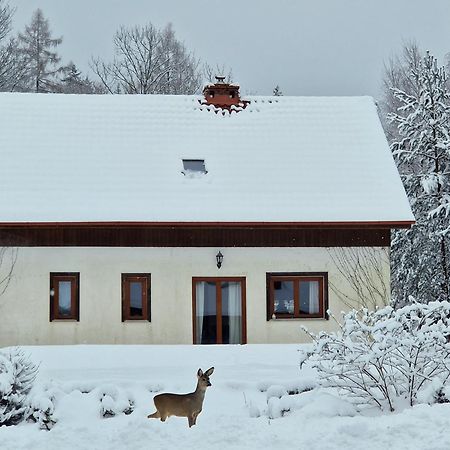 Dom Na Pstraznicy Villa Kudowa Zdroj Ngoại thất bức ảnh