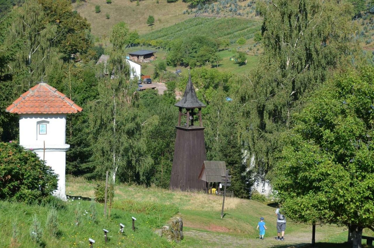 Dom Na Pstraznicy Villa Kudowa Zdroj Ngoại thất bức ảnh