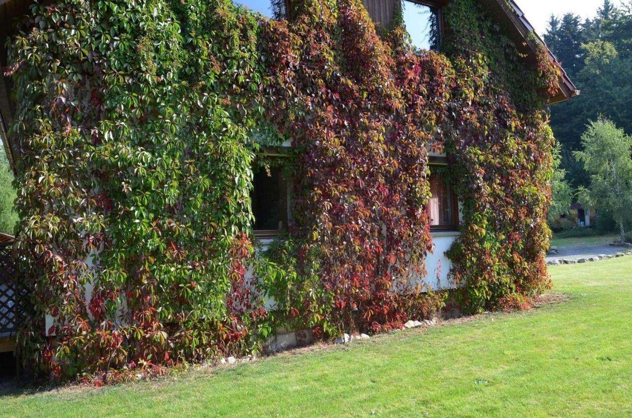 Dom Na Pstraznicy Villa Kudowa Zdroj Ngoại thất bức ảnh